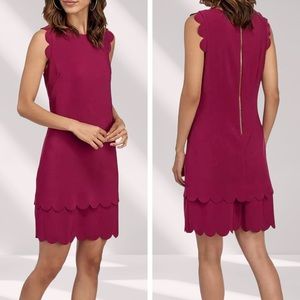 Betsey Johnson Fuchsia Layered Scallop Hemmed Shift Dress Shift Dress | Size 8